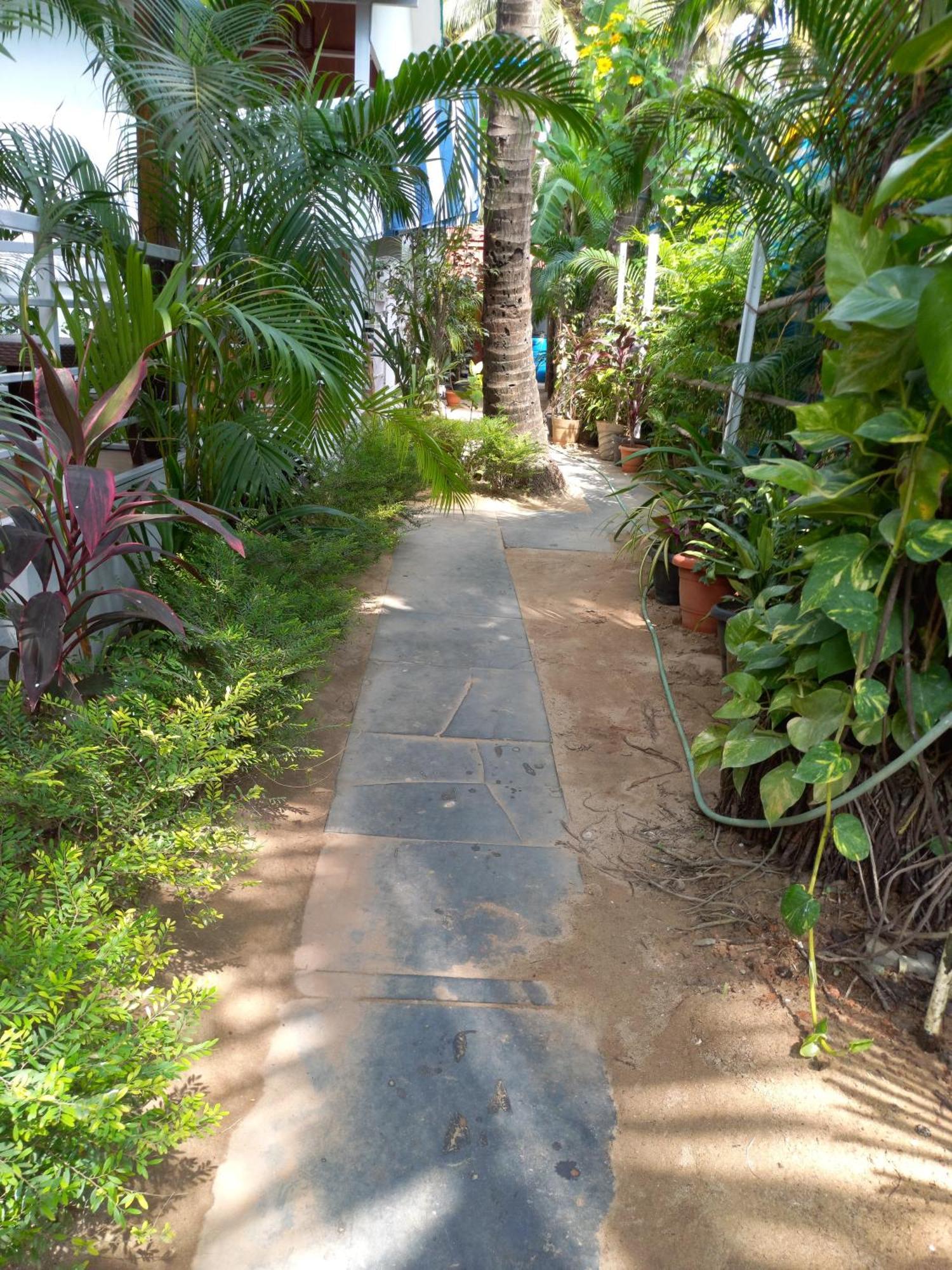 Royal Castle Beach Resort Canacona Exterior foto
